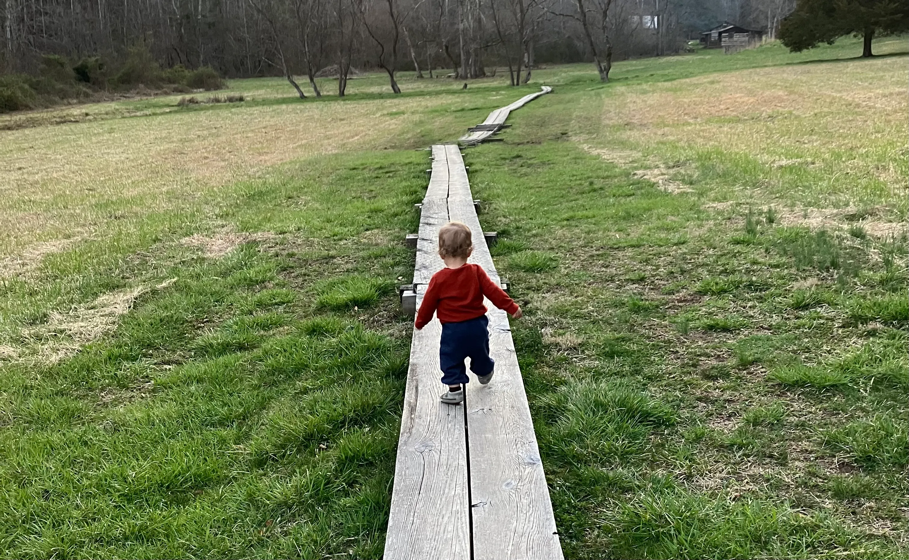 Child walking on a wooden path
